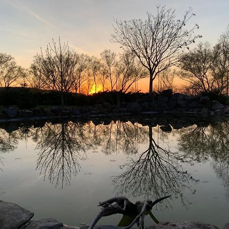 Apartmány Kněžičky Esterno foto
